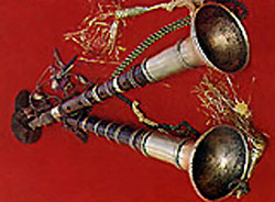 Shehnai